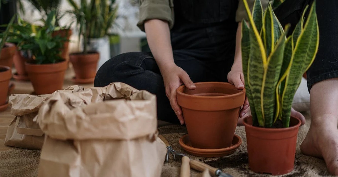 Slim systeem voor onderhouden van je tuin!