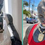 "Donkere alien" kan geen baan vinden vanwege extreem uiterlijk