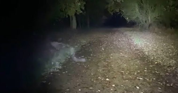 Koppel merkt demonisch figuur op die hen stalkt, tijdens wandeling met hond in park
