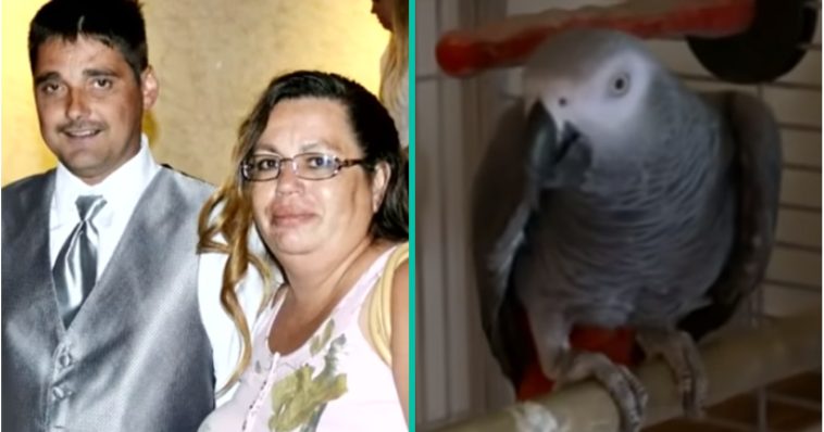 Vrouw veroordeeld voor moord op echtgenoot nadat papegaai de 'laatste woorden' van het slachtoffer herhaalde