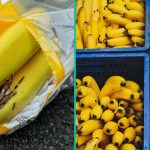 Familie 'getraumatiseerd' na vondst grote spin in bananen!