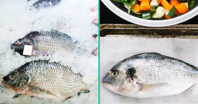 Vrouw ontdekt dat vis die ze voor het avondeten gekocht heeft nog leeft: 'Het was twee dagen in de vriezer!'