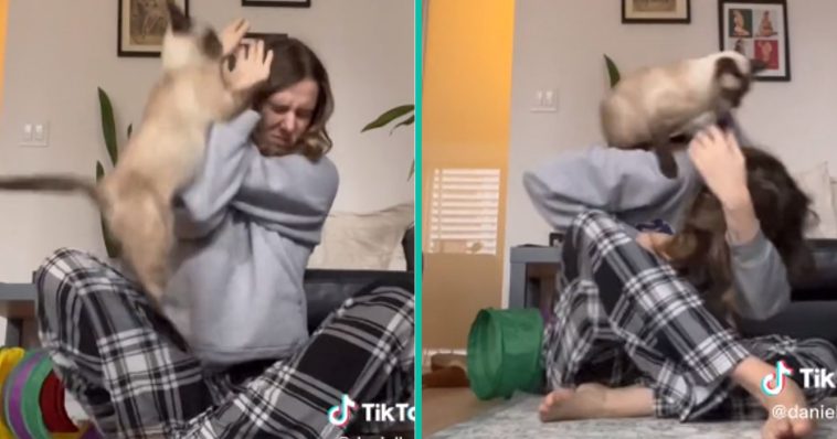 Kat van vrouw heeft een hekel aan wanneer ze Yoga-oefeningen doet!