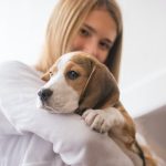 teelvocht hond