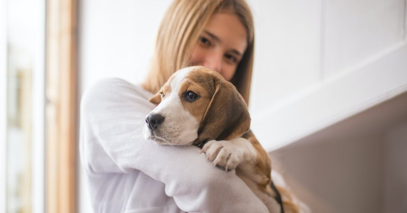 teelvocht hond