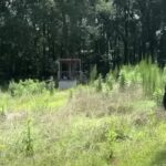 voortuin