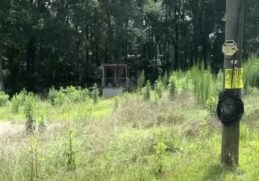 voortuin