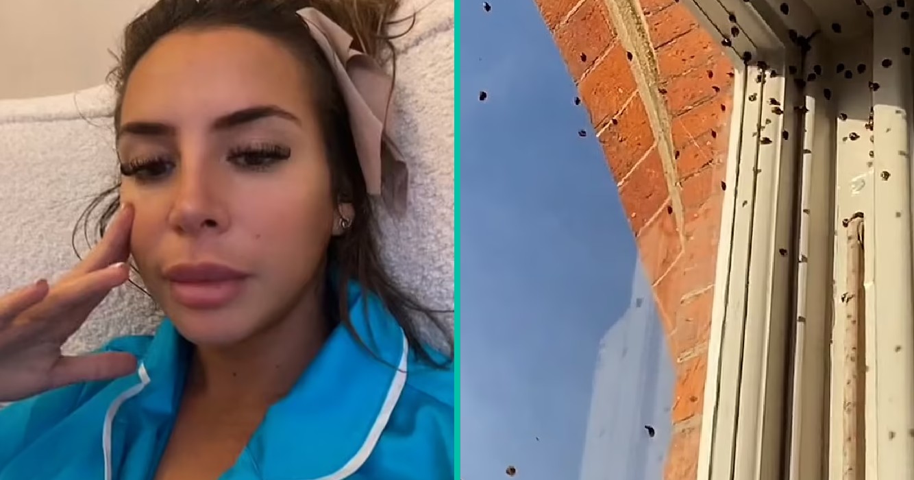 Deze vrouw haar huis is overspoeld door duizenden lieveheersbeestjes